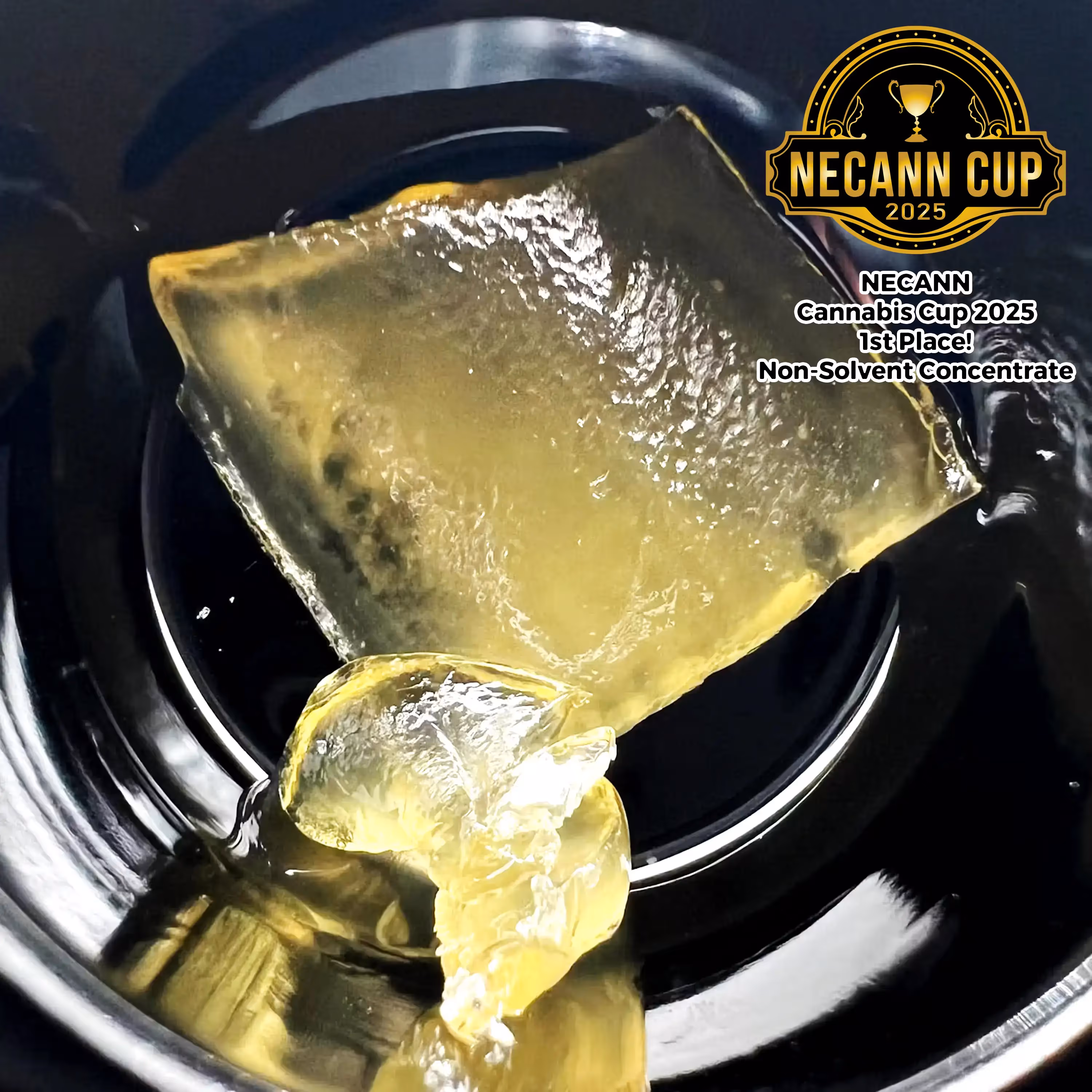 Super Boof | Live Rosin | 1g