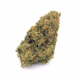 Electric Parfait | 1/8 oz.