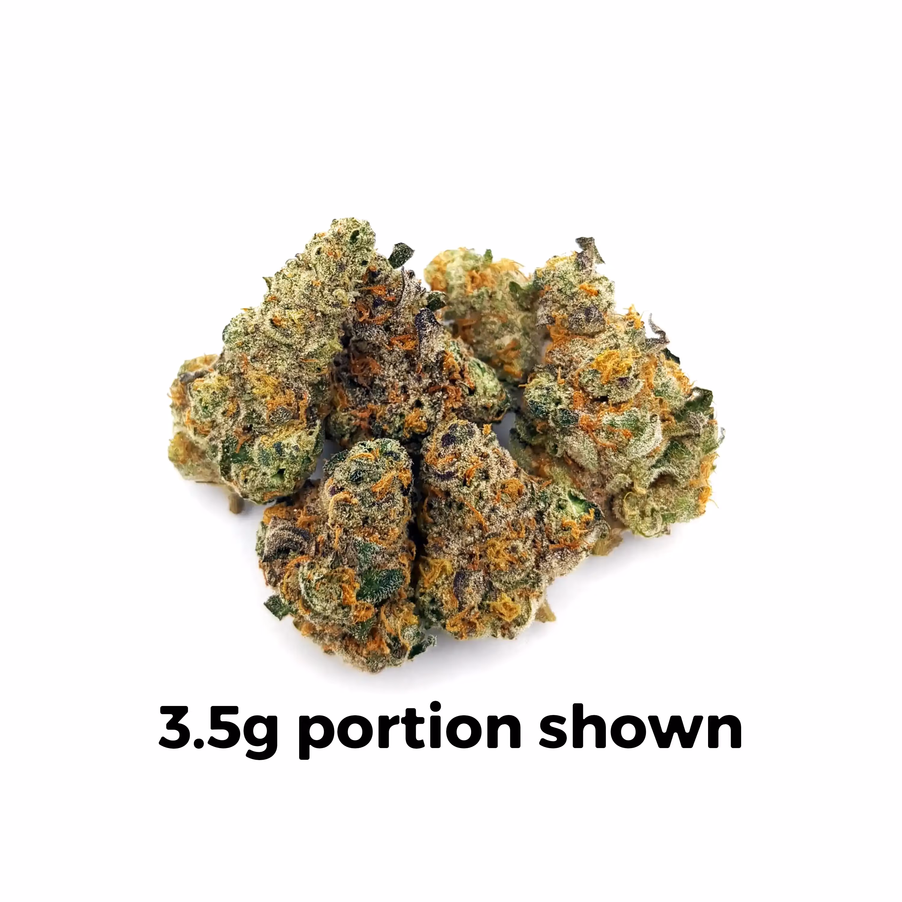 Governmint Oasis | Mini-Buds | 1/4 oz.