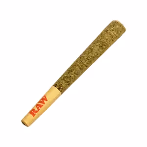 MAC 1 | 1g