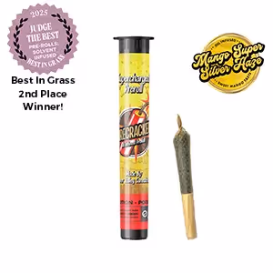 Mango Super Silver Haze Firecracker | Infused | 1g
