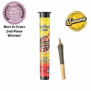 Banana Candy Firecracker | Infused | 1g