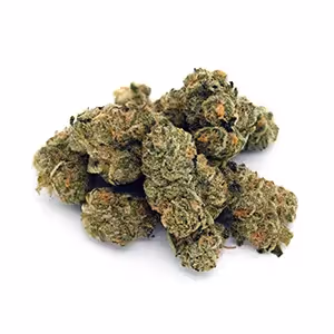 Space Case | Mini-Buds | 1/8 oz.