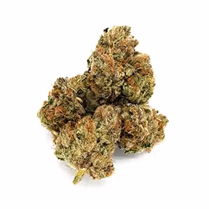 Raspberry Mango TK | 1/8 oz.