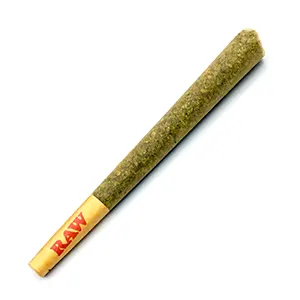 Orange 43 | 1g