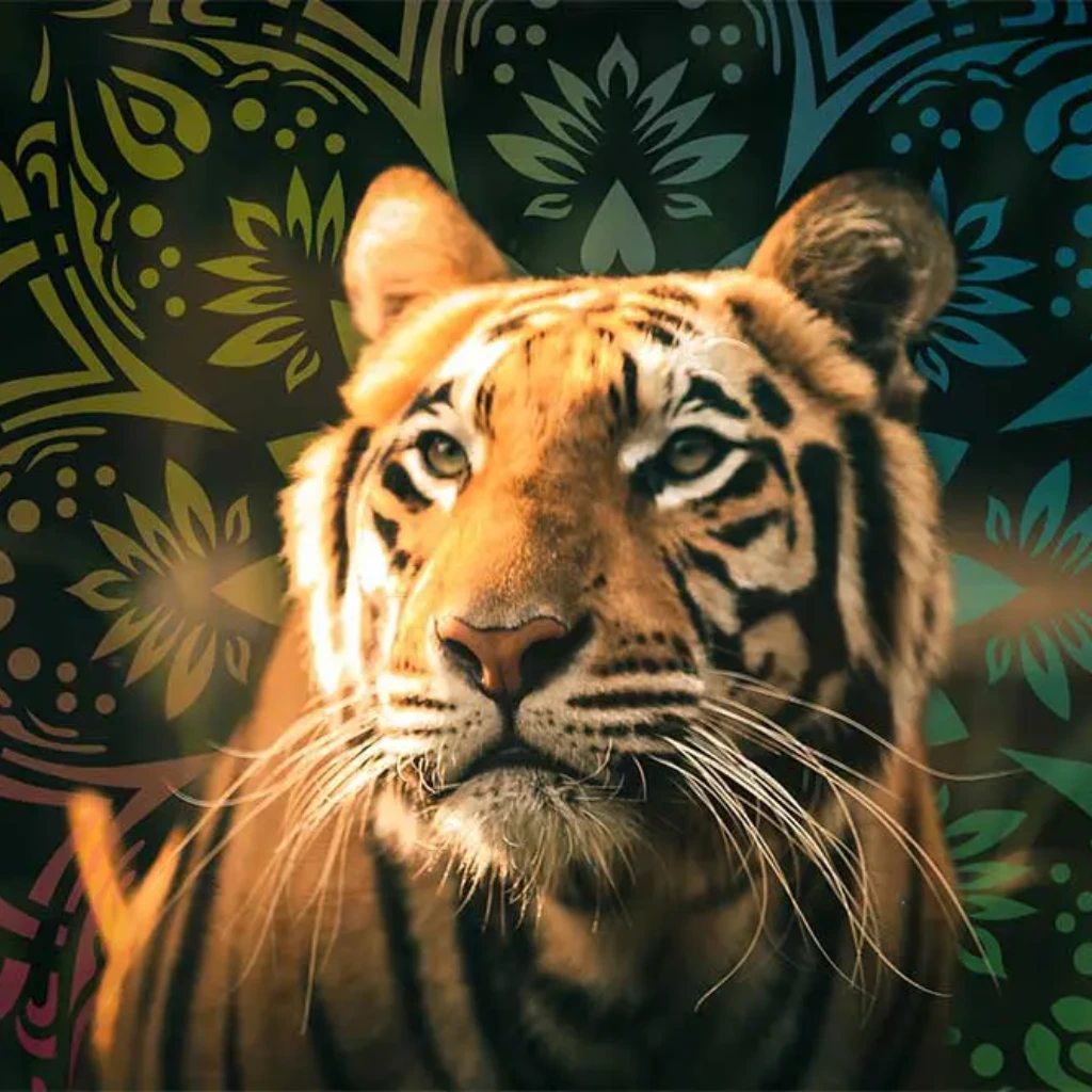 Join us at Terpene Journey for an exclusive event with Kanha, as they take us on an inspiring journey, sharing their story and showcasing their premium range of cannabis products. It's a unique opportunity to connect, discover, and immerse yourself in the world of sustainable, high-quality cannabis.
