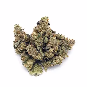 Watermellos | 1/8 oz.