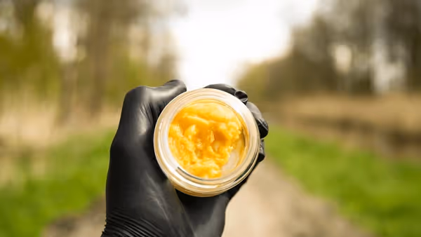 Unlike some other concentrate types that can be brittle or hard to handle, budder is soft and pliable, making it a good option for those who prefer a concentrate that is easy to use.