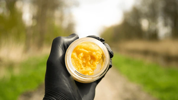 Unlike some other concentrate types that can be brittle or hard to handle, budder is soft and pliable, making it a good option for those who prefer a concentrate that is easy to use.