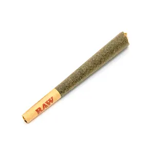MACaroon | 1g