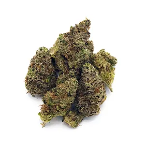 Cereal Milk | Mini-Buds | 1/8 oz. | Signature