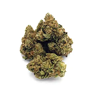 Motor Breath #15 | 1/8 oz.