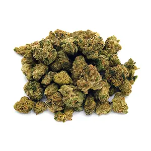Coal Creek Kush | Mini-Buds | 1/4 oz.