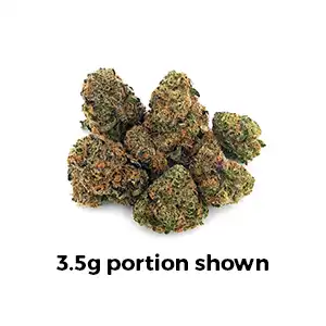 Black Maple | Mini-Buds | 1/4 oz. | Casa