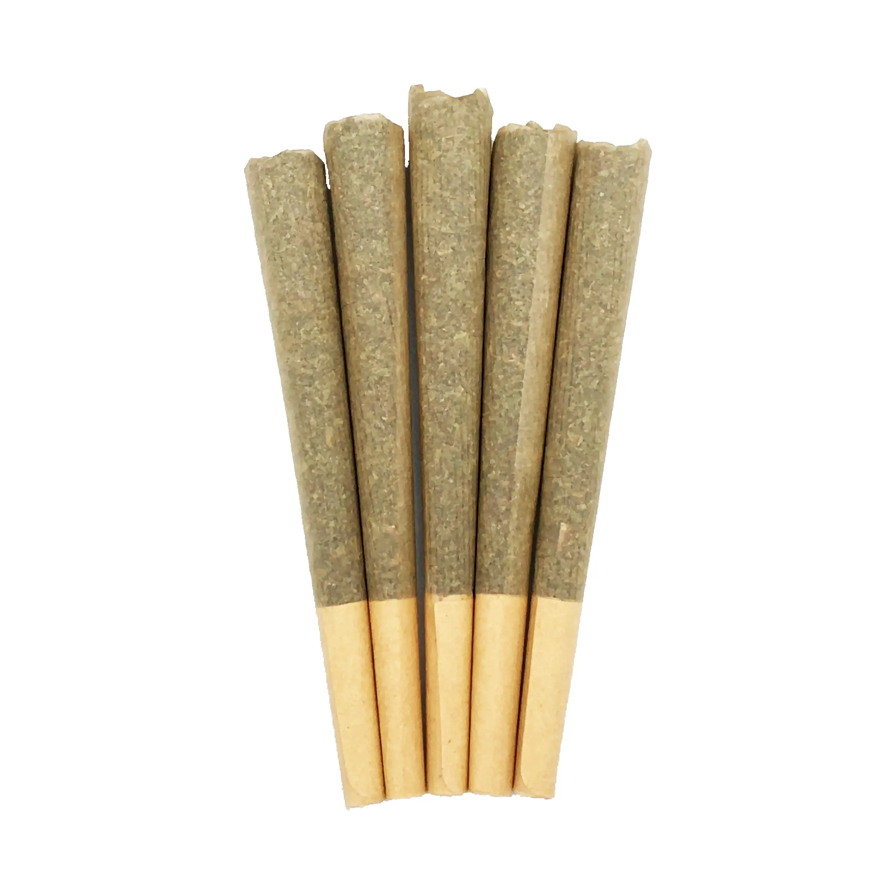 Pineapple Donut | 5pk | 1g