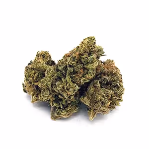 Pineapple Donut | 1/8 oz.