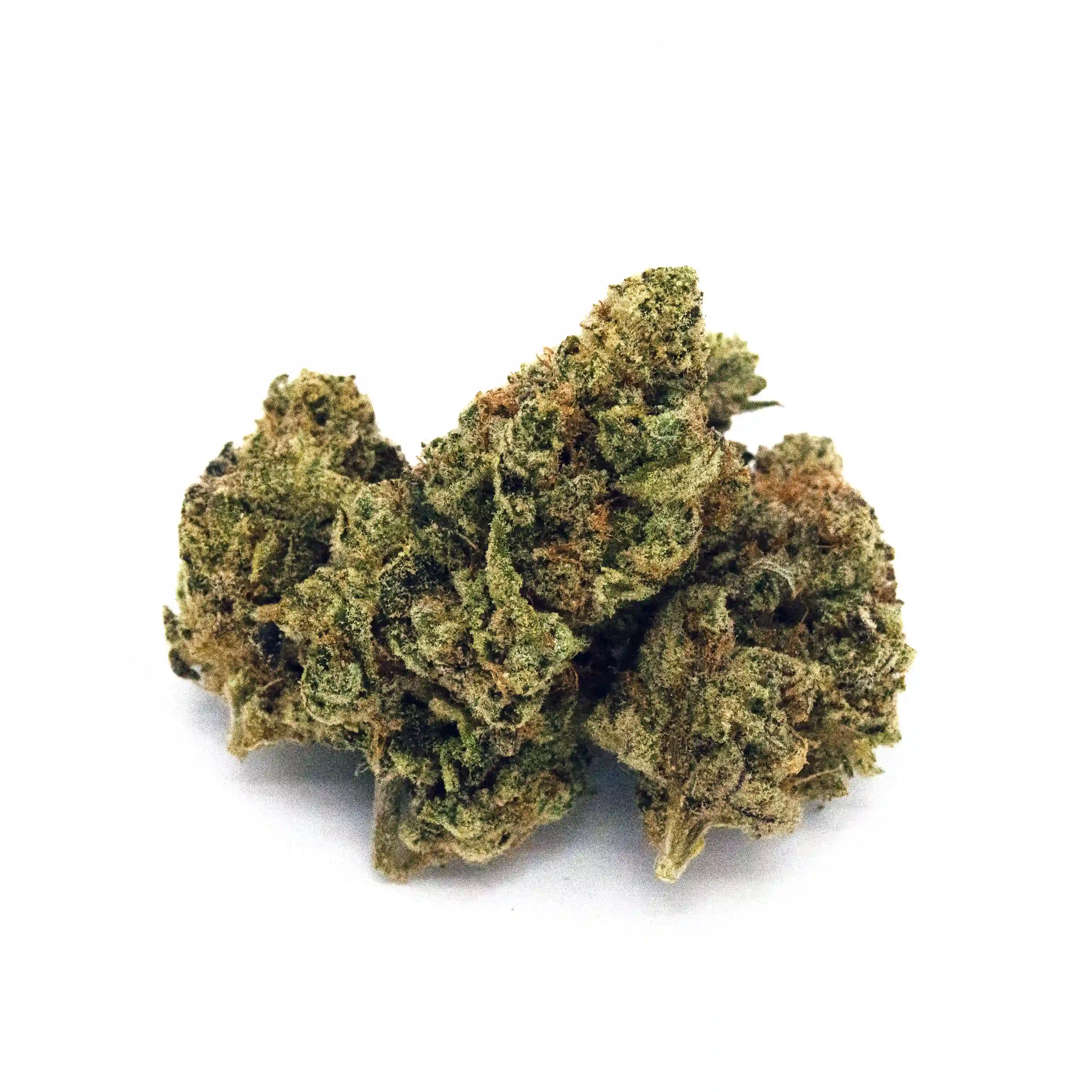 Pineapple Donut | 1/8 oz.
