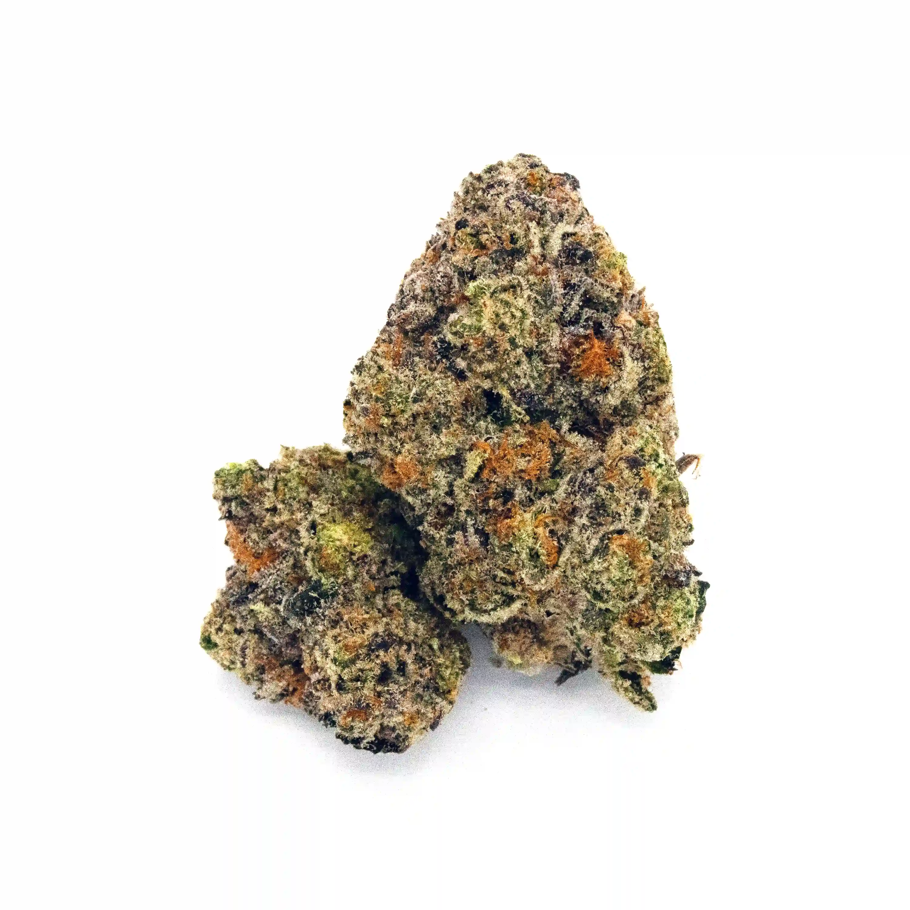 Taunton Cookie | 1/8 oz.