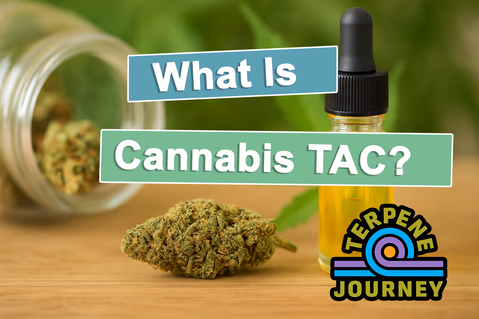 What is Cannabis TAC?