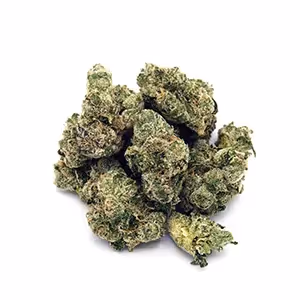 Raspberry Syrup | Mini-Buds | 1/8 oz.