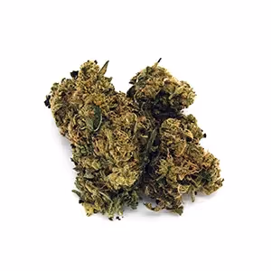 Dead Head OG | Mini-Buds | 1/8 oz.| Signature