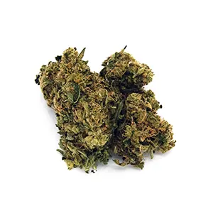 Dead Head OG | Mini-Buds | 1/8 oz.| Signature