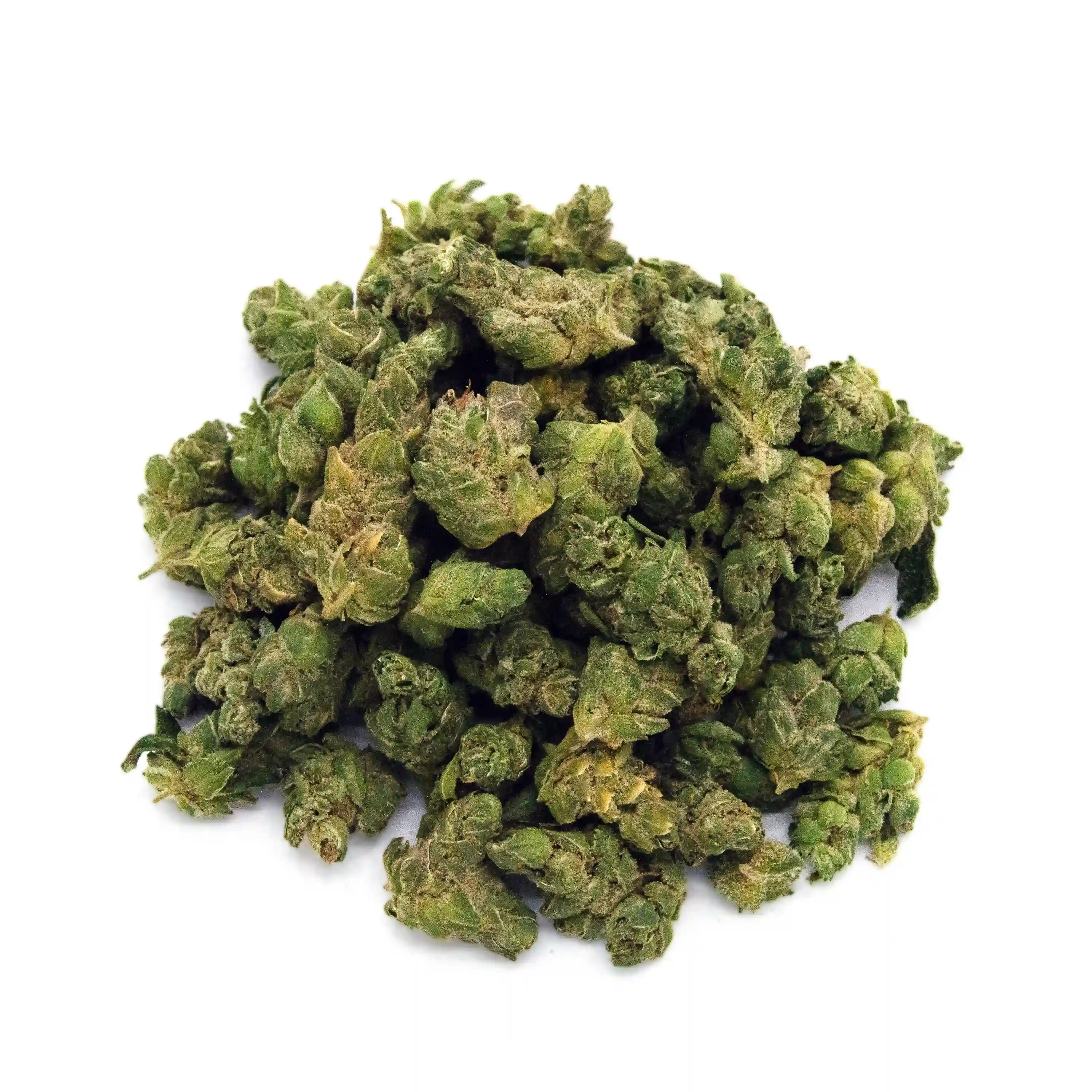 Gorilla Glue #4 | Mini-Buds | 1/4 oz.