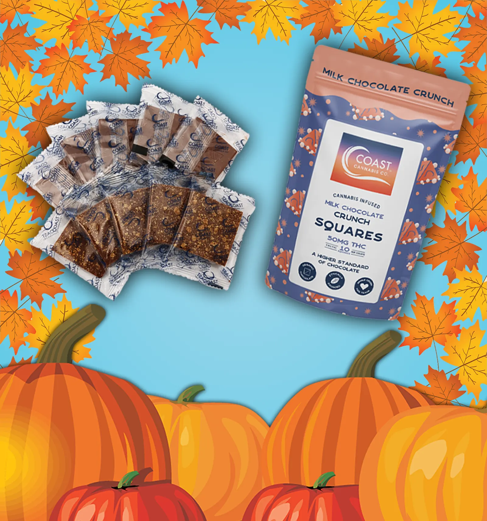 Thanksgiving Chocolate Squares