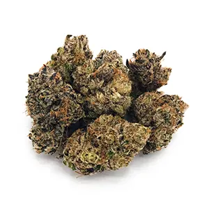 Truffle Monkey | Mini-Buds | 1/8 oz.