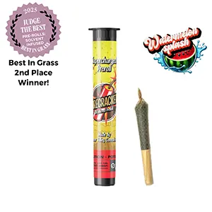 Watermelon Splash Firecracker | Infused | 1g