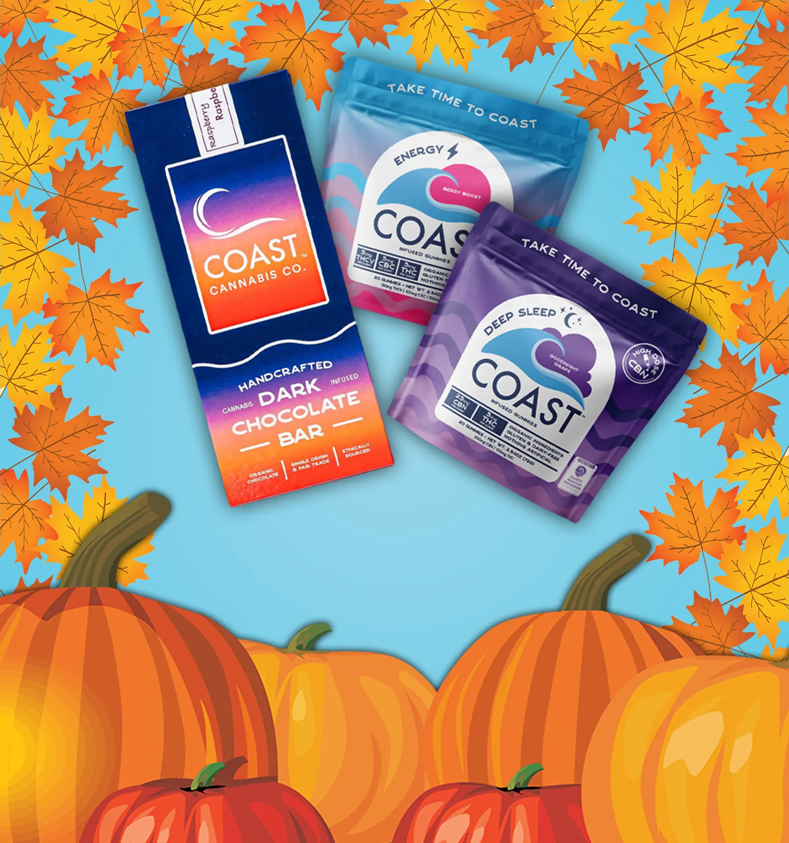 Black Friday Weekend Coast