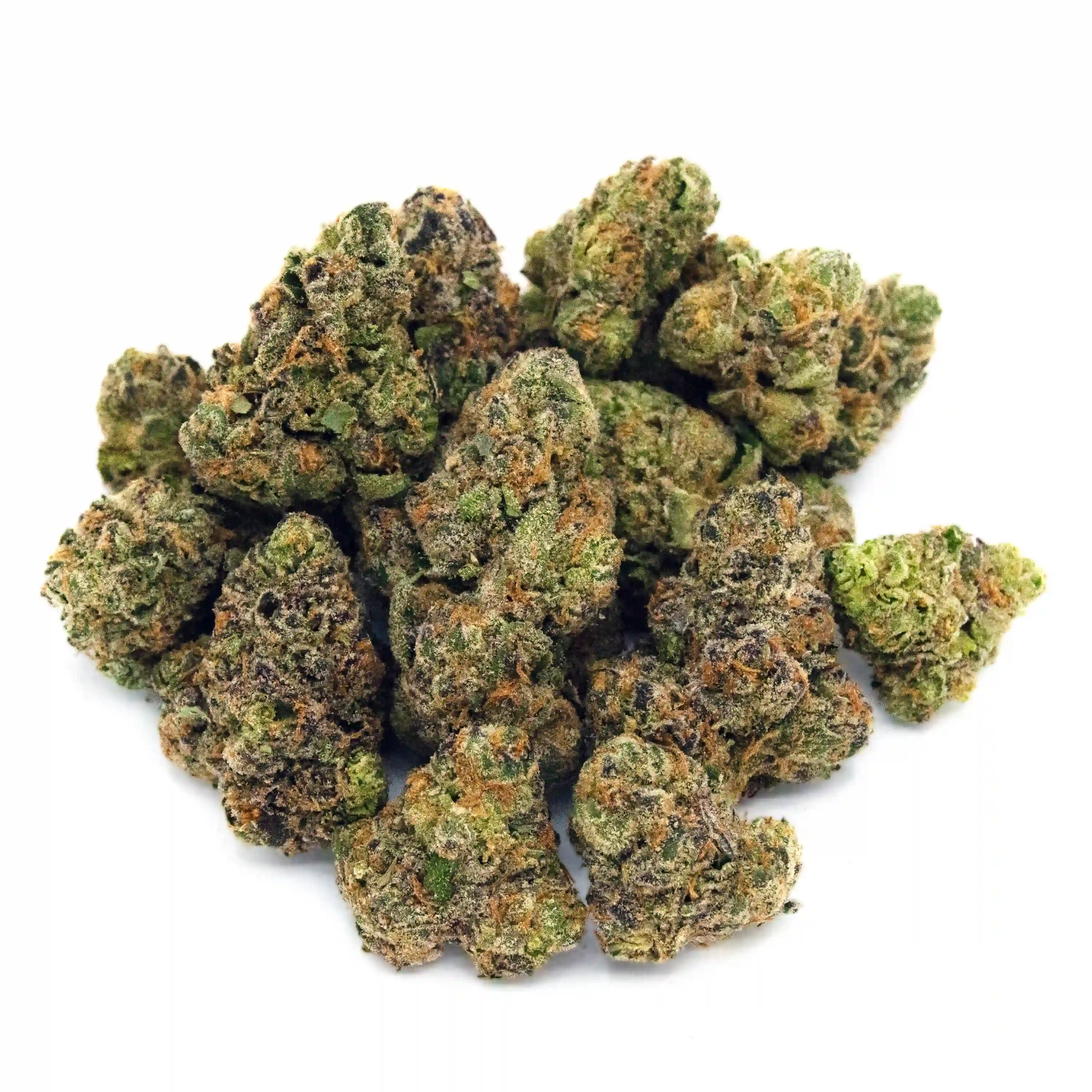 Yellow Stupo | Mini-Buds | 1/4 oz.