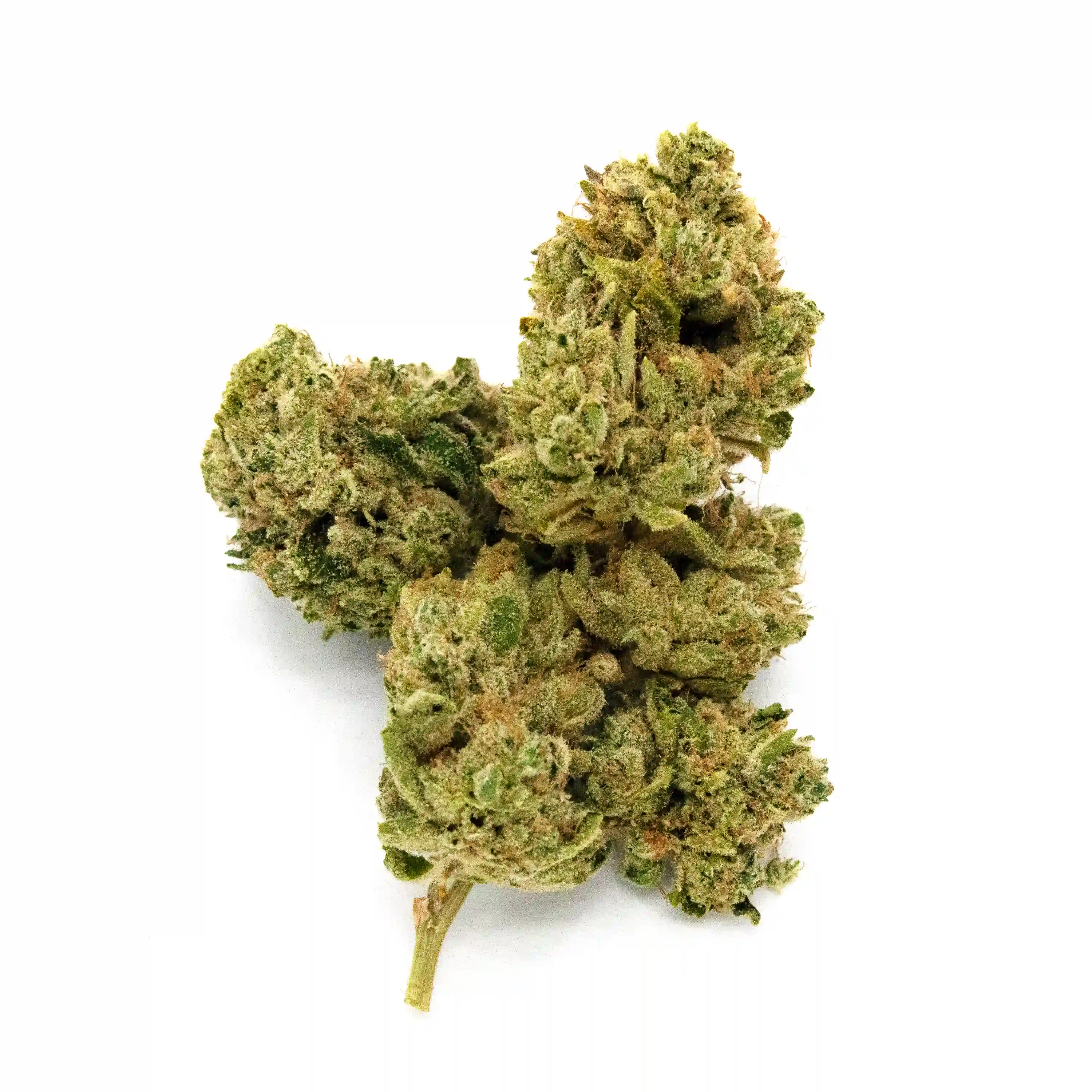 Kiwi Sours | 1/8 oz.