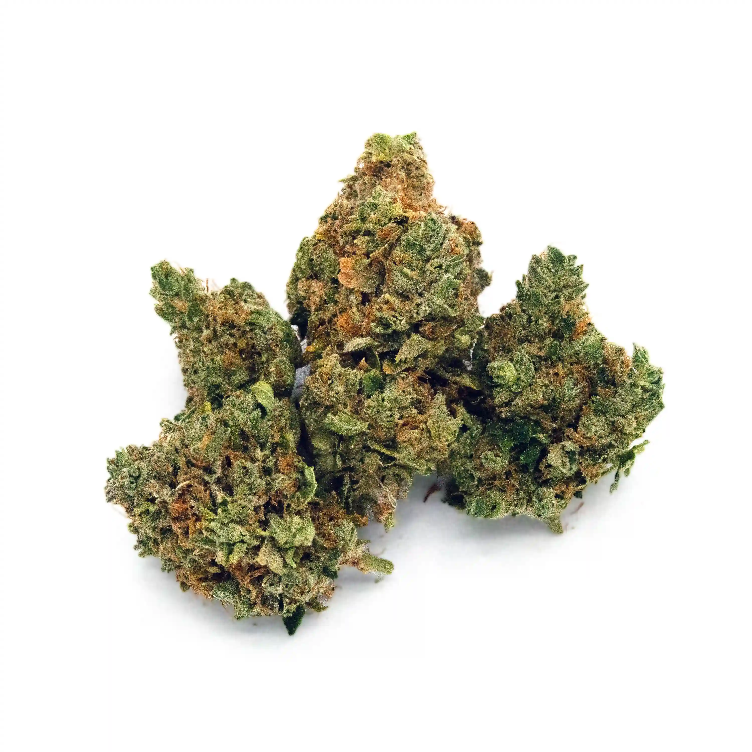 Lobster Pot | 1/8 oz.