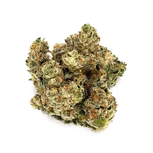 Whoopie Pie | Mini-Buds | 1/8 oz.