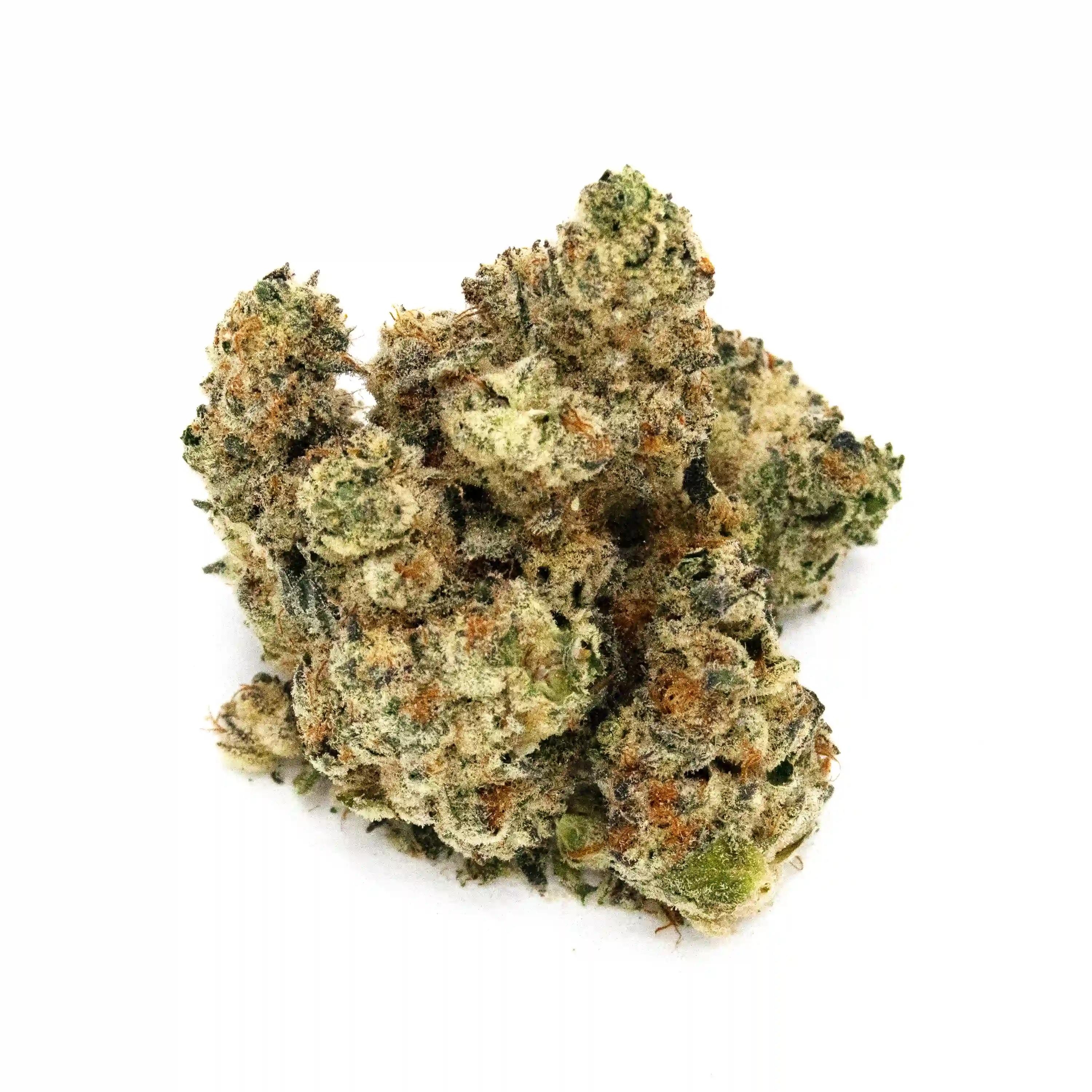 Whoopie Pie | Mini-Buds | 1/8 oz.