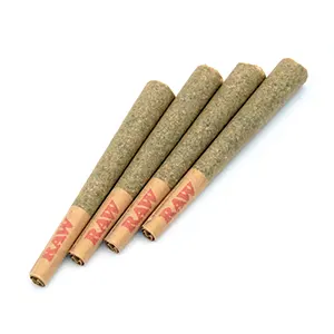 Cartoons and Cereal | 4pk | 1g