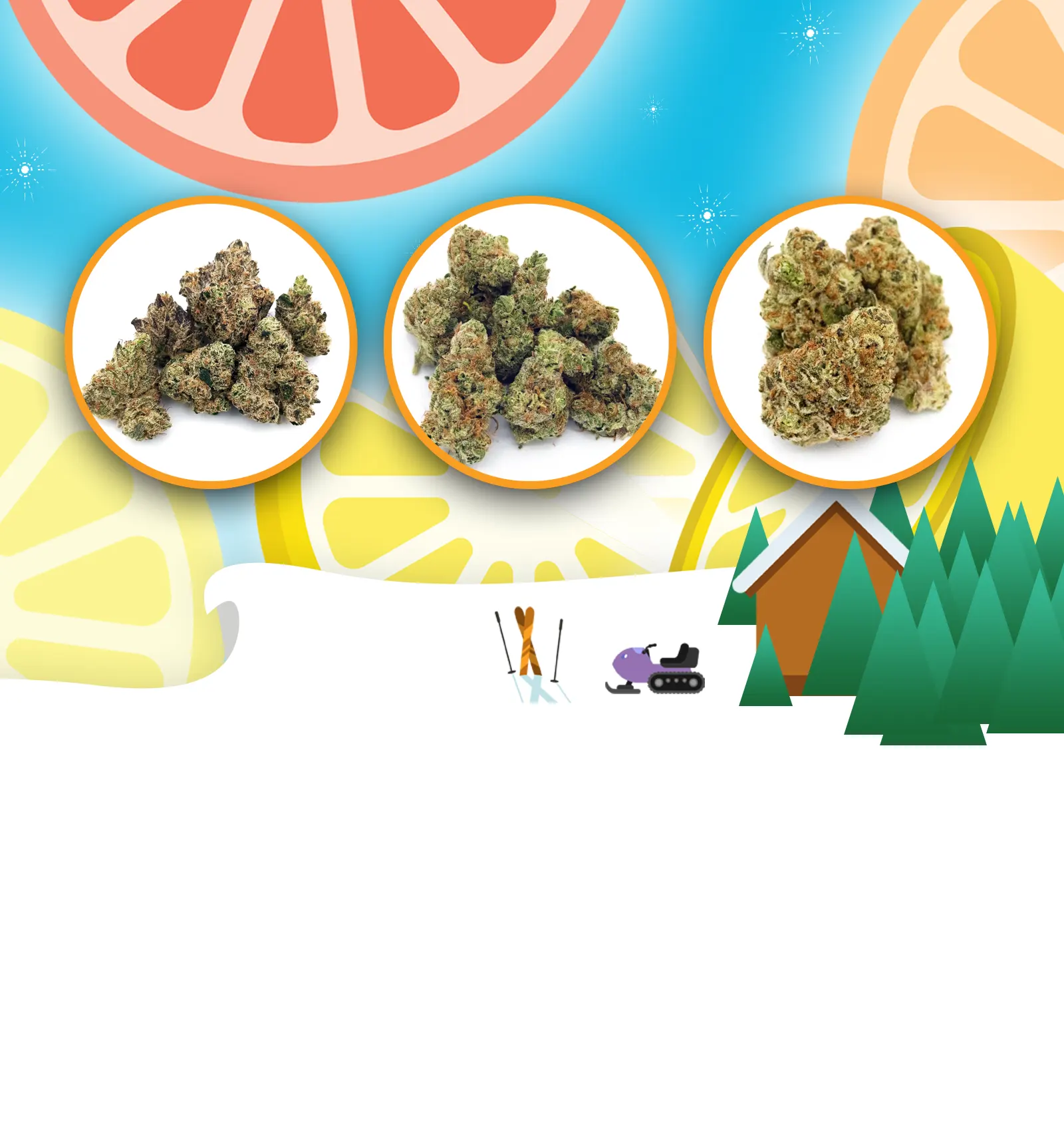 Juiced January Flower