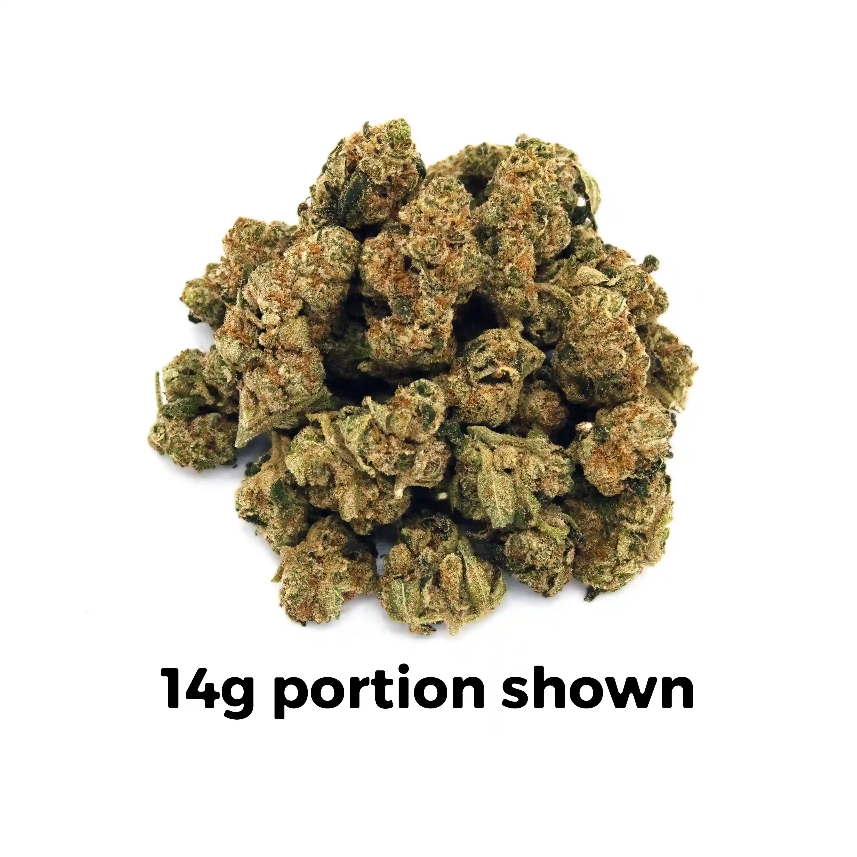 Peanut Butter Lady | 1/8 oz.