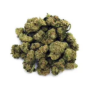 Meat Glue | Mini-Buds | 1/2 oz.