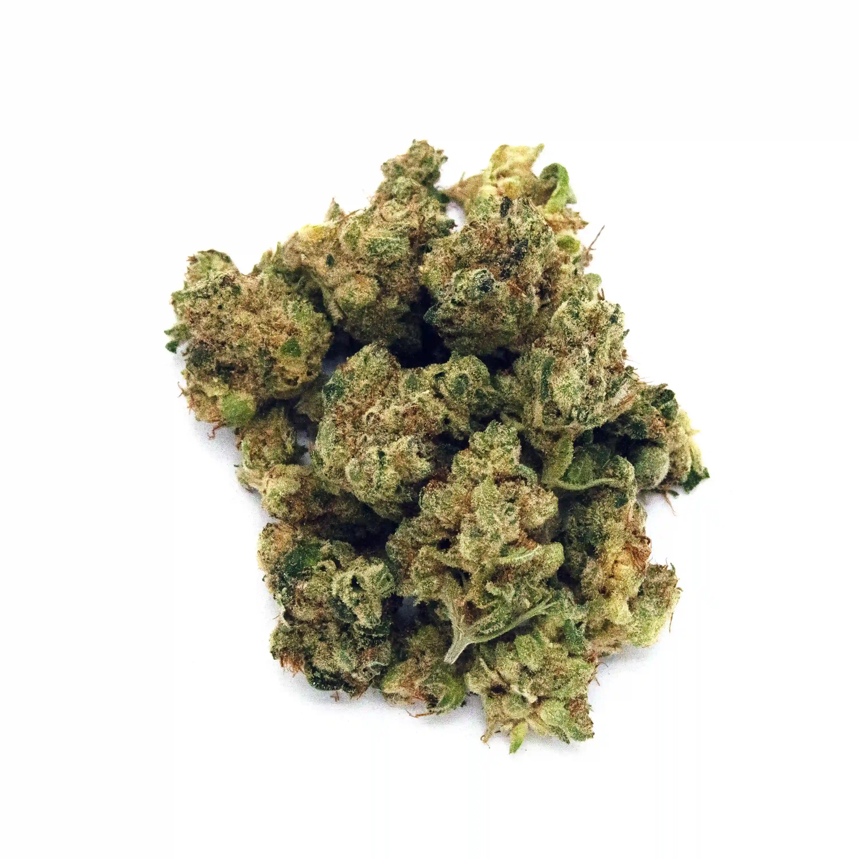 Permanent Marker | Mini-Buds | 1/8 oz.