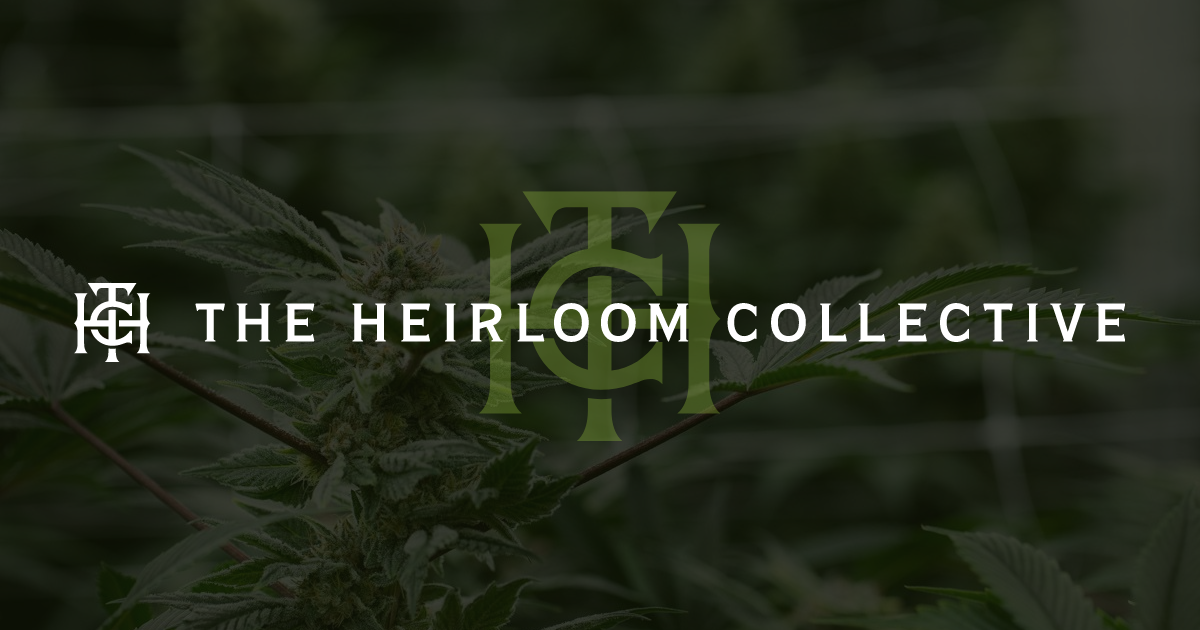 Join us at Terpene Journey for an exclusive event with The Heirloom Collective. The Heirloom Collective's team will be on location at our Swampscott dispensary to answer questions about the full line of products recently introduced at Terpene Journey.