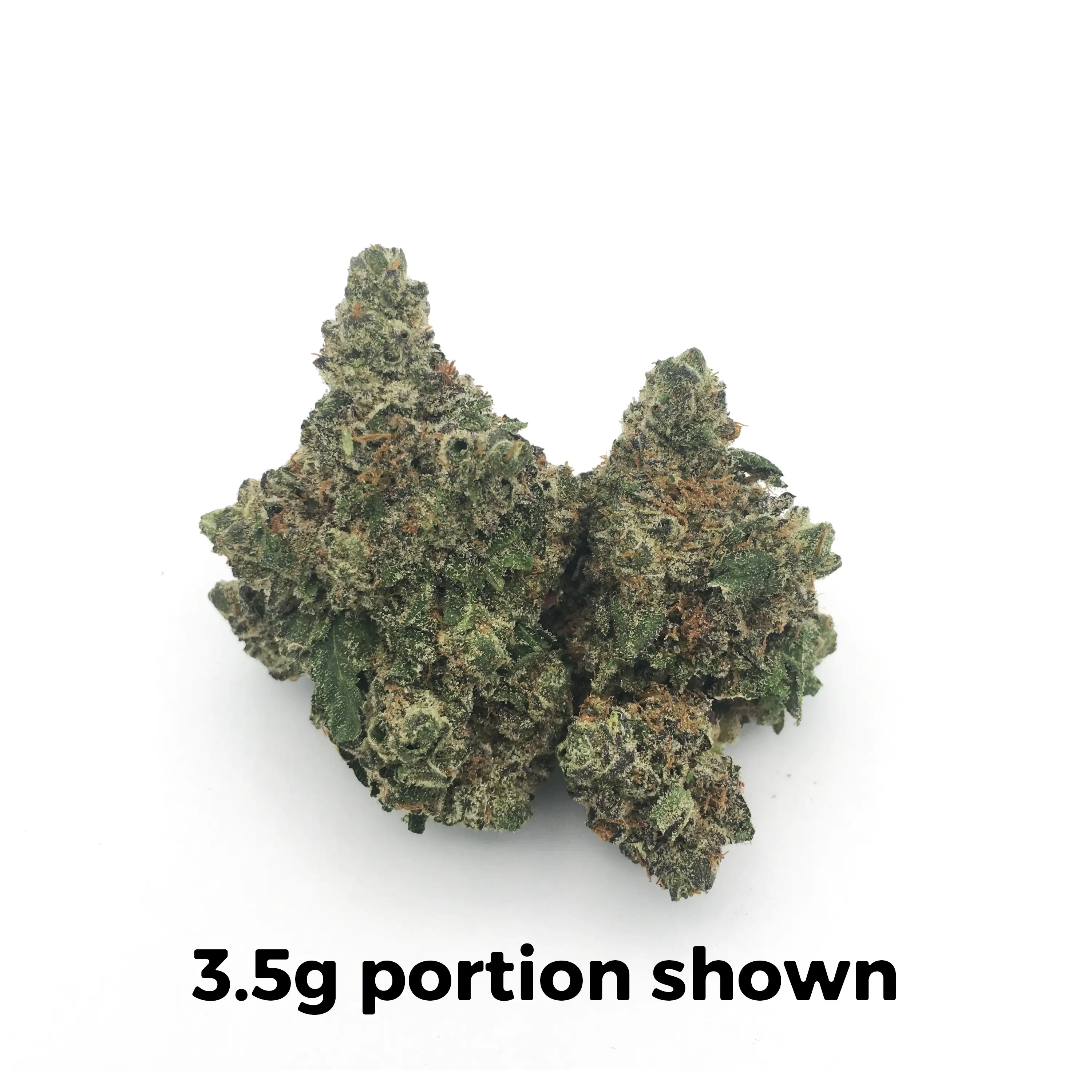 Cherry Pie OG | 1/4 oz.