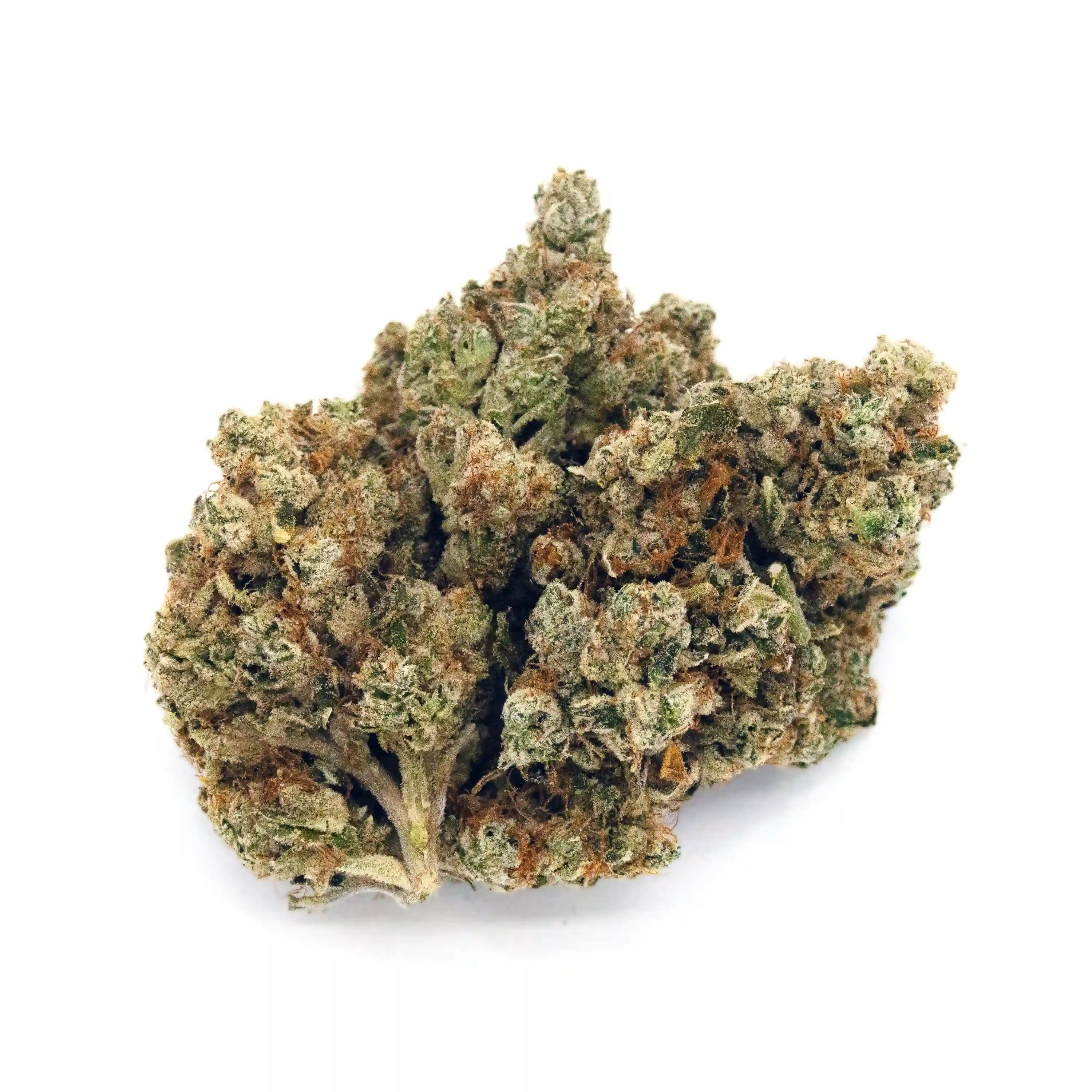 Triangle Kush | Mini-Buds | 1/4 oz.