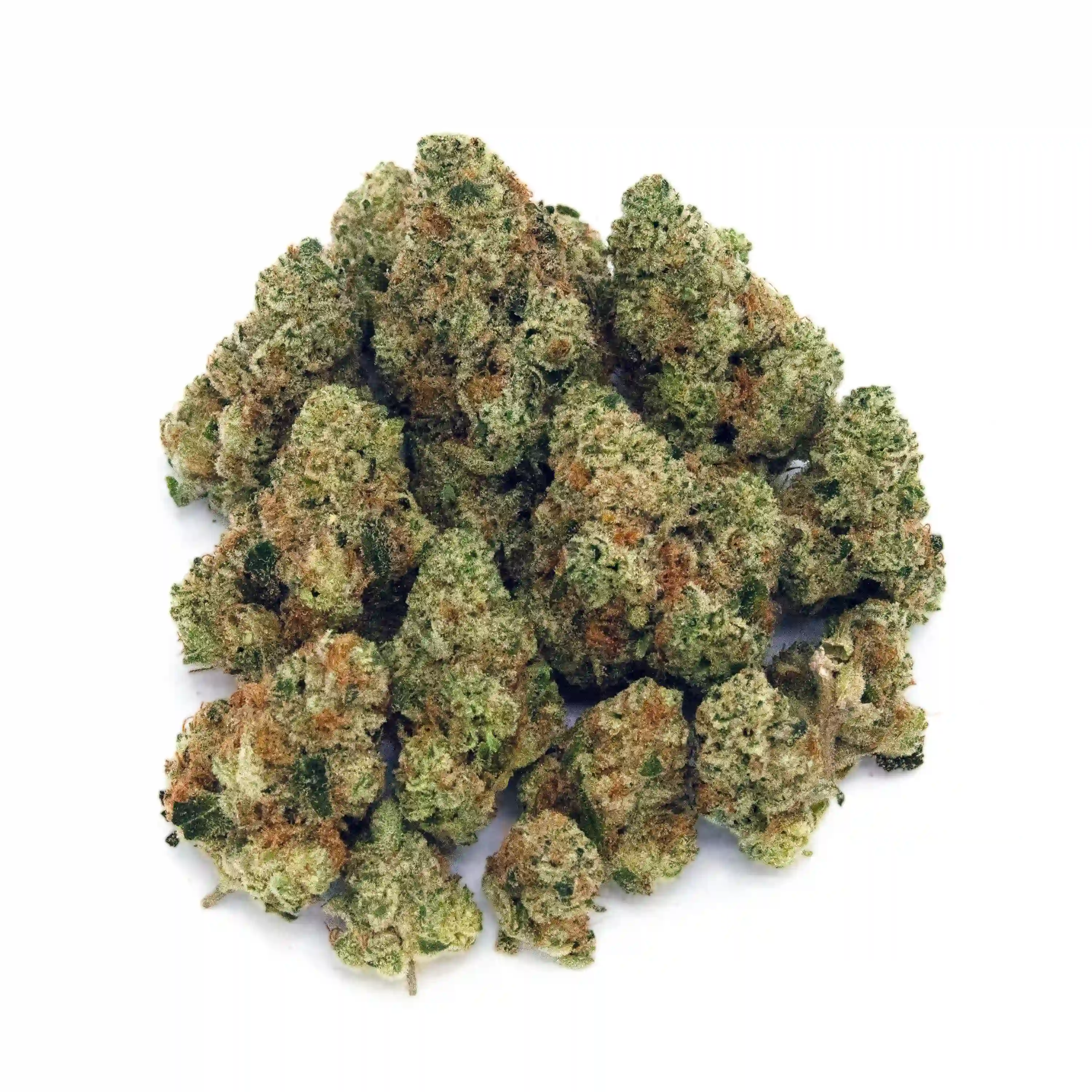 Papaya Cake | Mini-Buds | 1/4 oz.