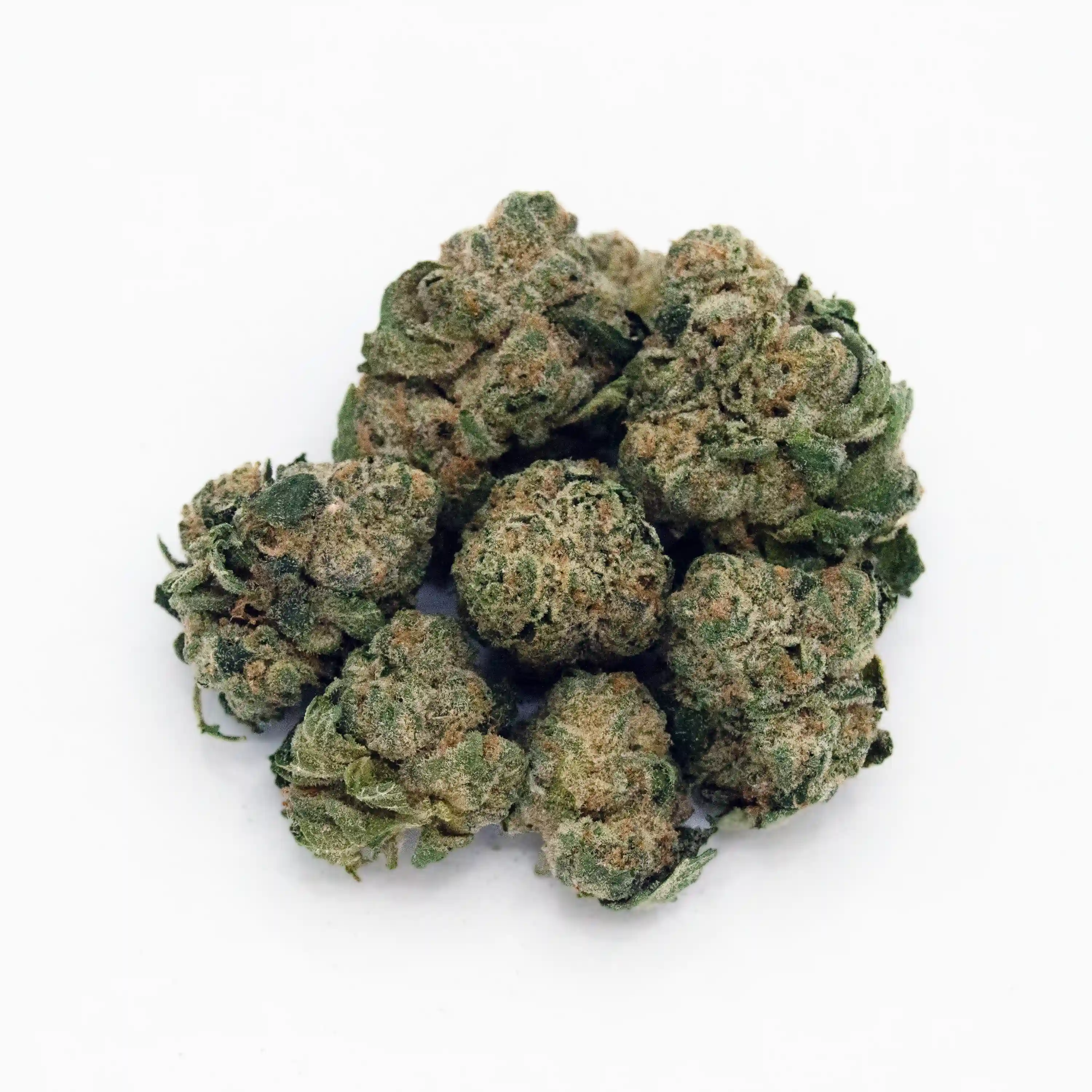 Star D | Mini-Buds | 1/8 oz.