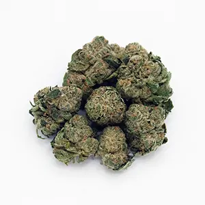 Star D | Mini-Buds | 1/8 oz.