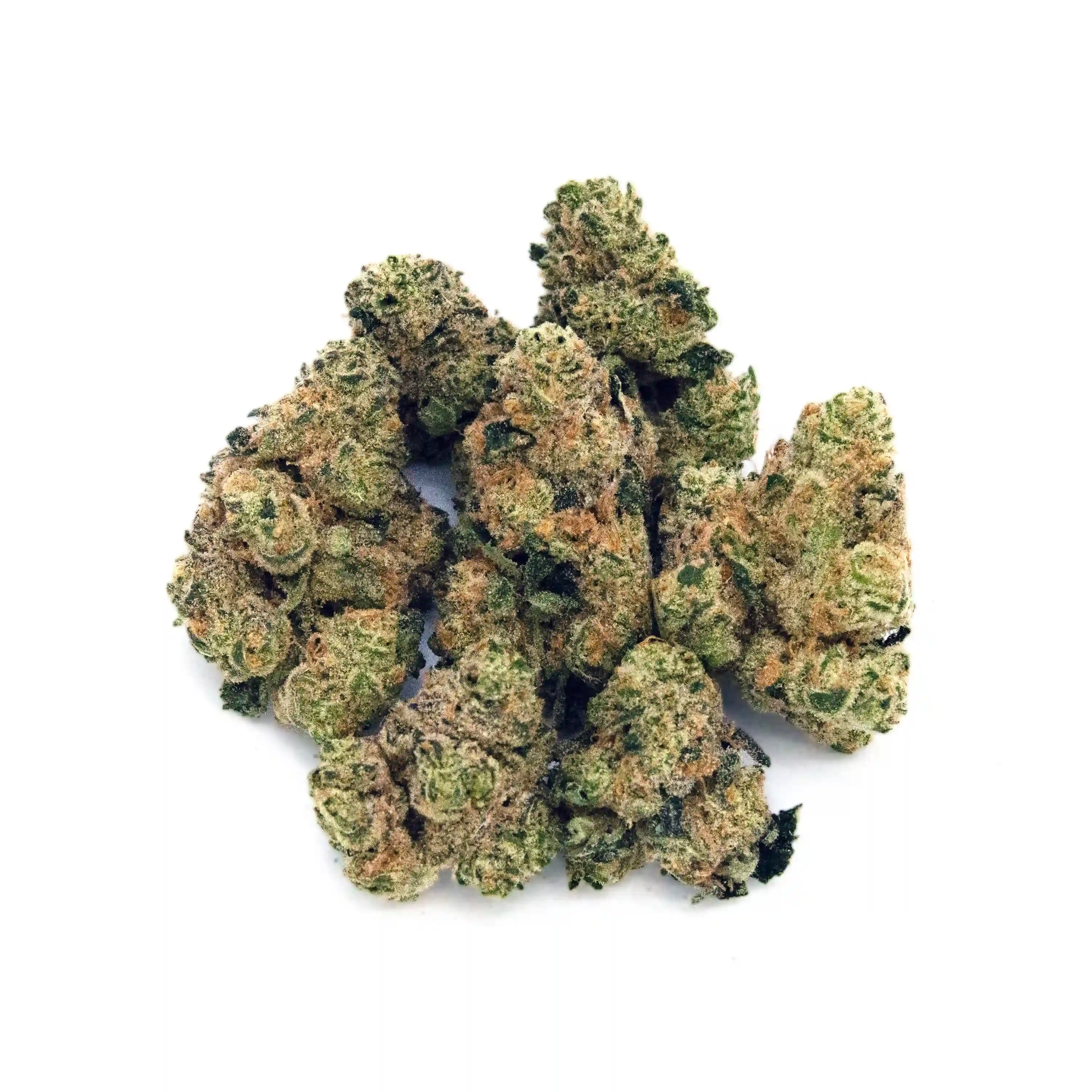 Sour Honey | Mini-Buds | 1/8 oz.