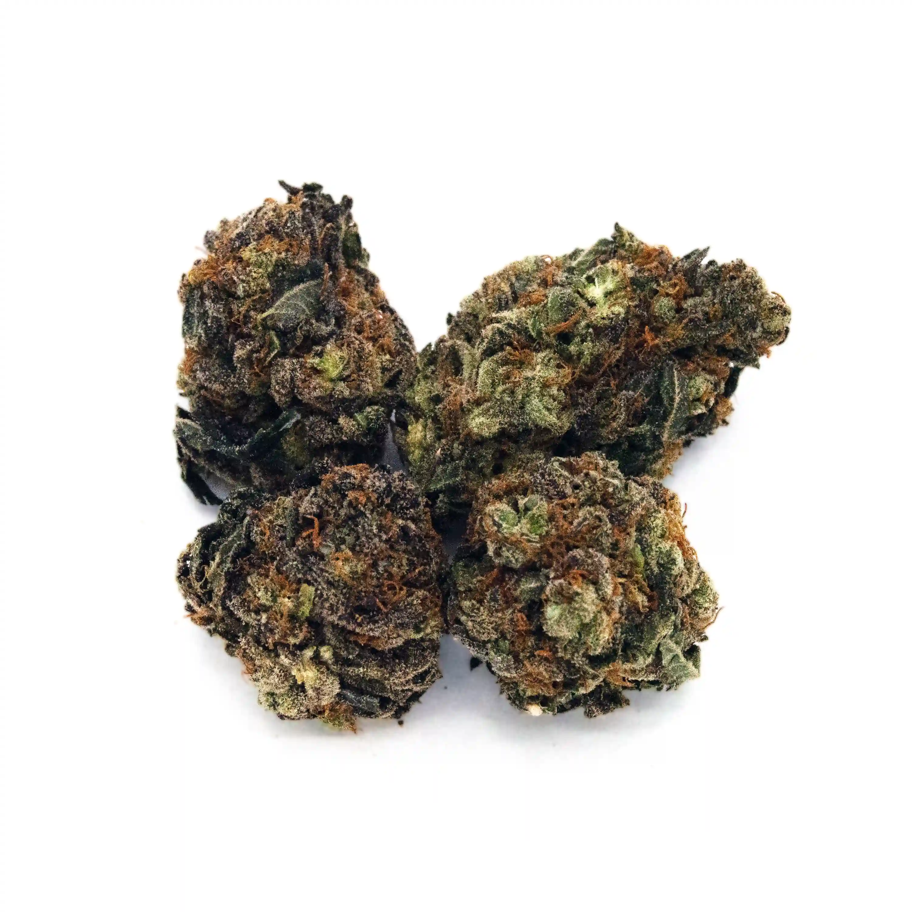 Candy Garlic | 1/8 oz.