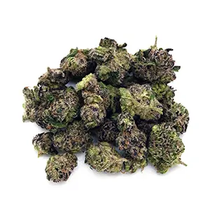 Gator Breath | Mini-Buds | 1/8 oz.